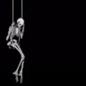 Meet your Posher, Bruce